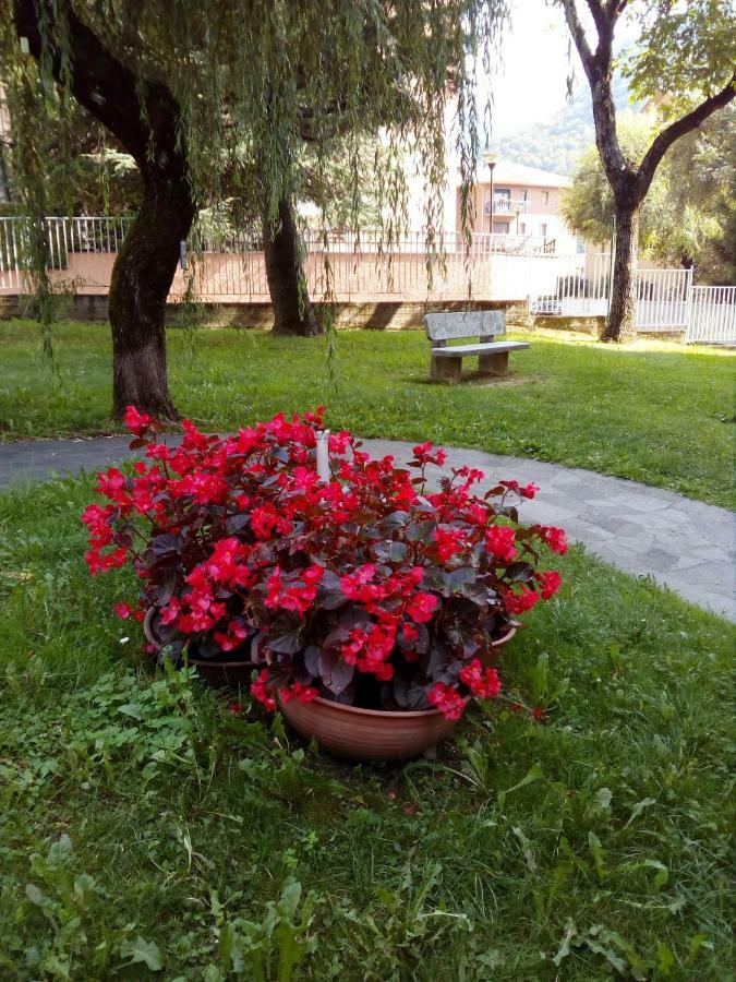 Casa Vacanze Moggio Moggio  Eksteriør bilde
